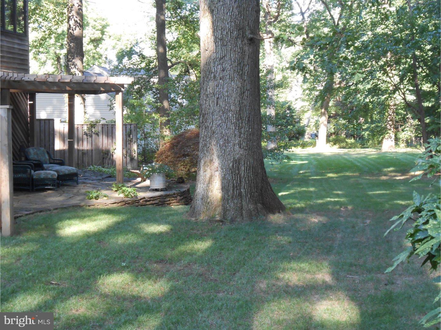 16 Peirce Road Wilmington, DE 19803 - Photo 5 of 25 a view of a tree in a yard