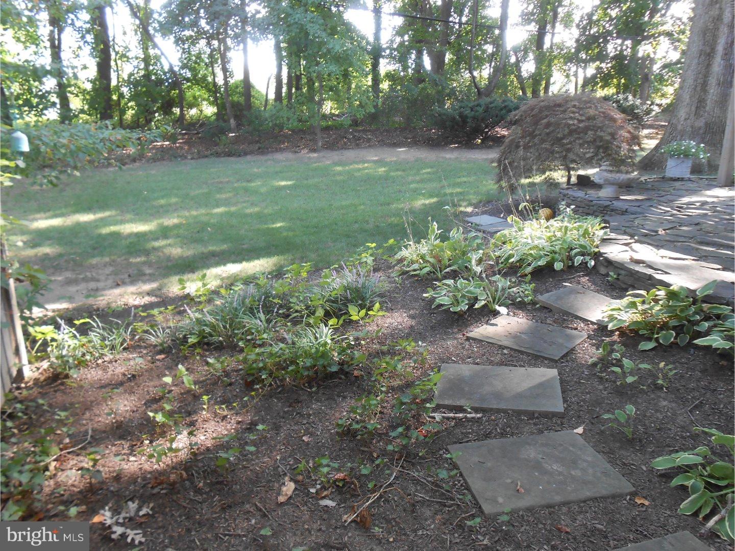 16 Peirce Road Wilmington, DE 19803 - Photo 7 of 25 a backyard of a house with lots of green space