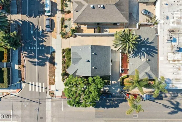 a potted plant sitting in front of a building