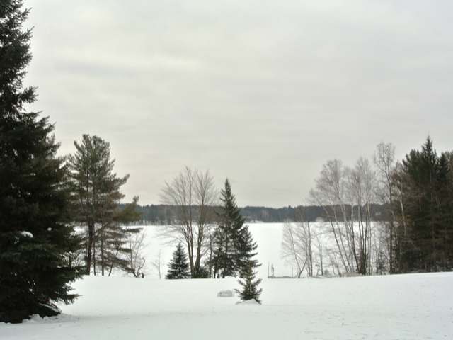 5440 Pine Lake Road Rhinelander, WI 54501 - Photo 2 of 20 Gallery Image 2