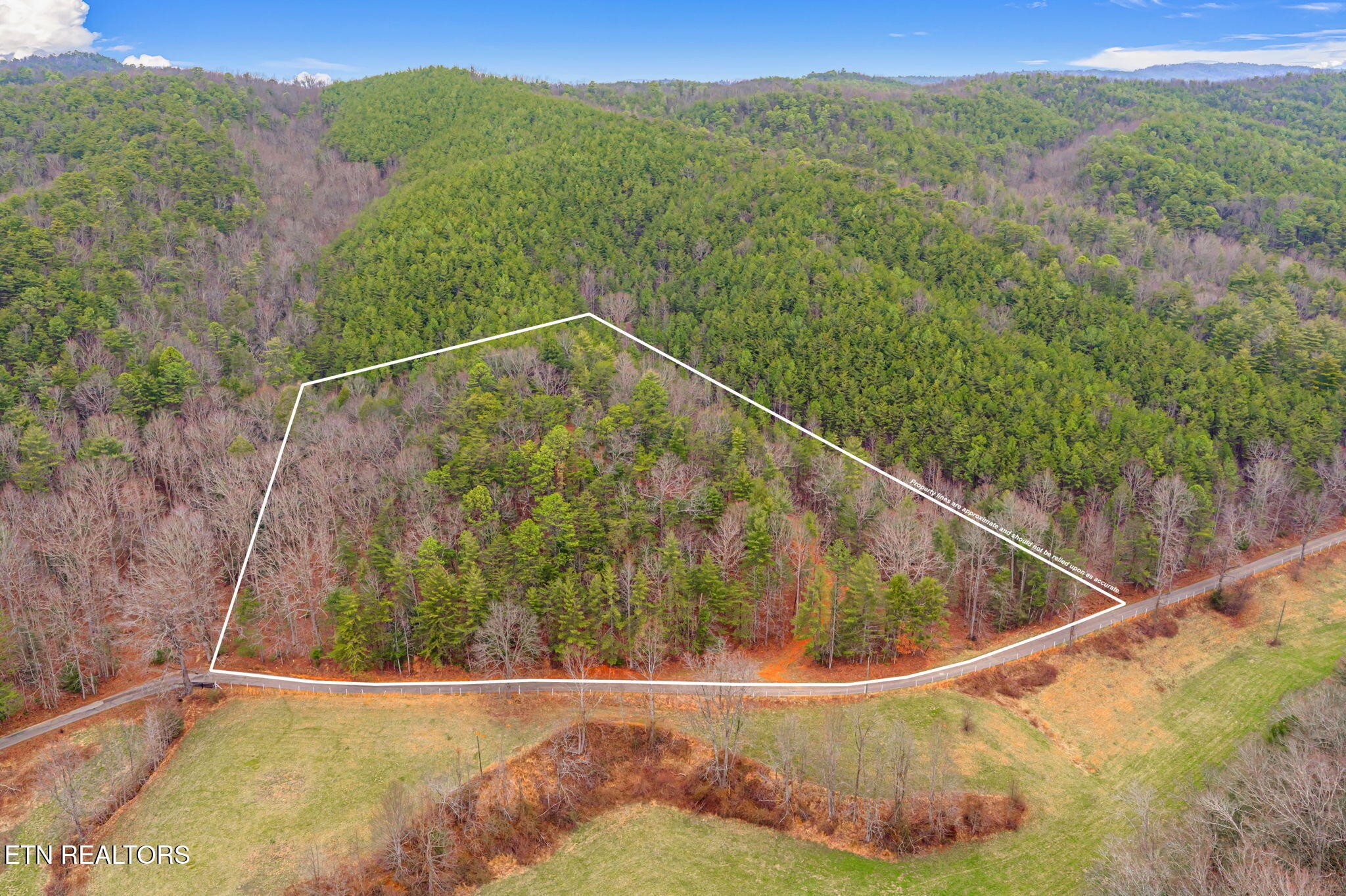 0 Rafter Road Tellico Plains, TN 37385 - Photo 5 of 15 Gallery Image 5