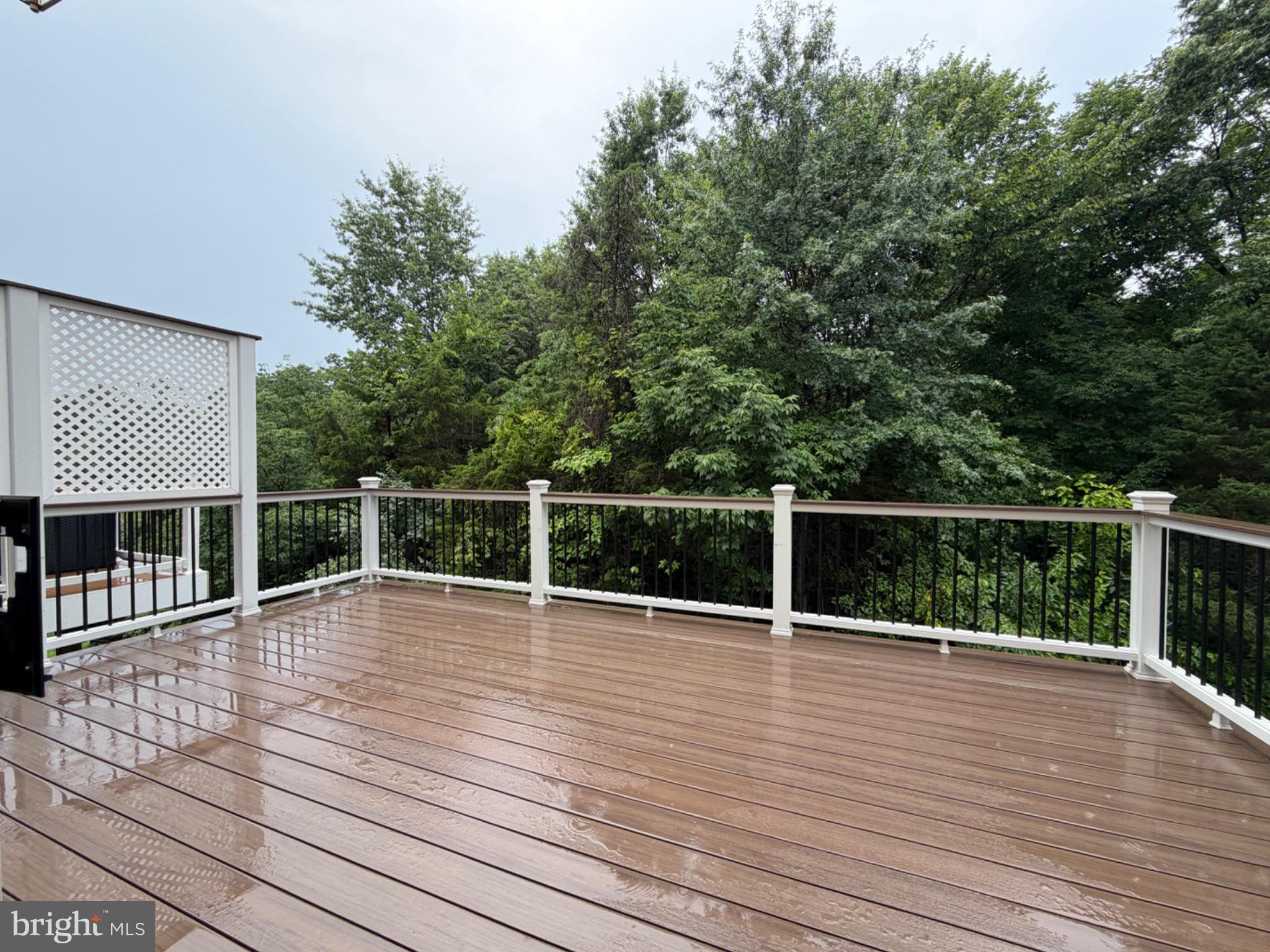 25333 Wakestone Terrace Chantilly, VA 20152 - Photo 11 of 109 Serene deck overlooking lush greenery.