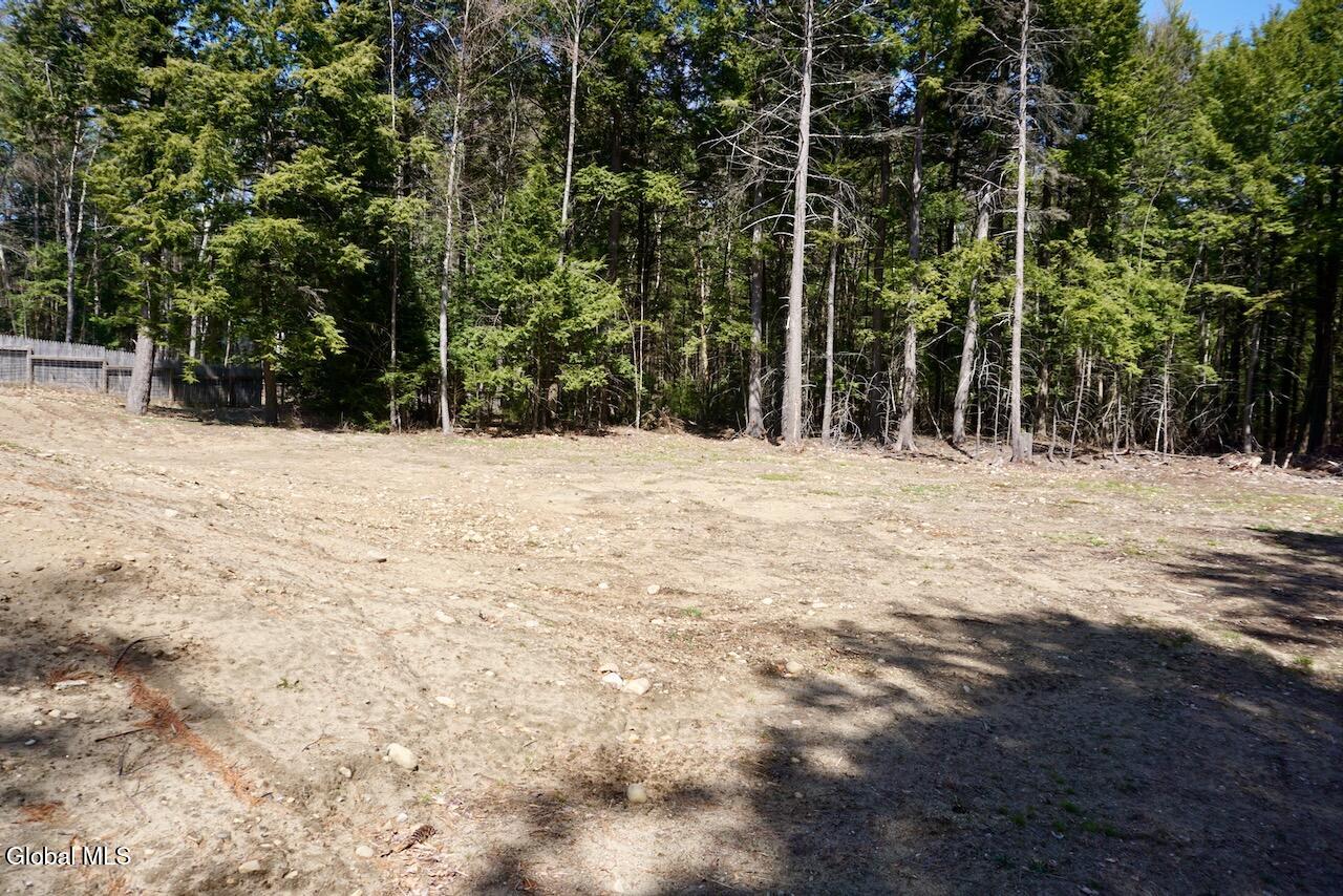 47 Locust Ridge Drive Corinth, NY 12822 - Photo 34 of 41 DSC04989