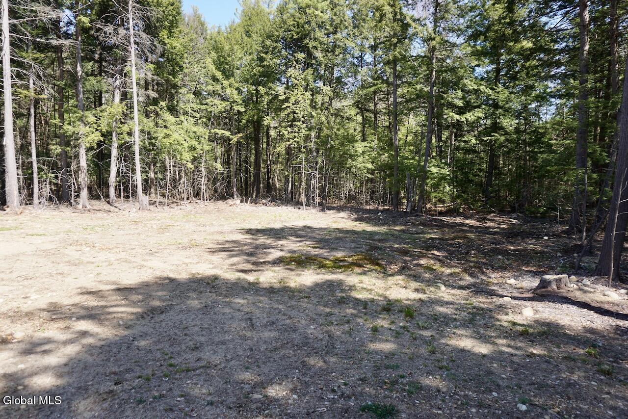 47 Locust Ridge Drive Corinth, NY 12822 - Photo 35 of 41 DSC04990