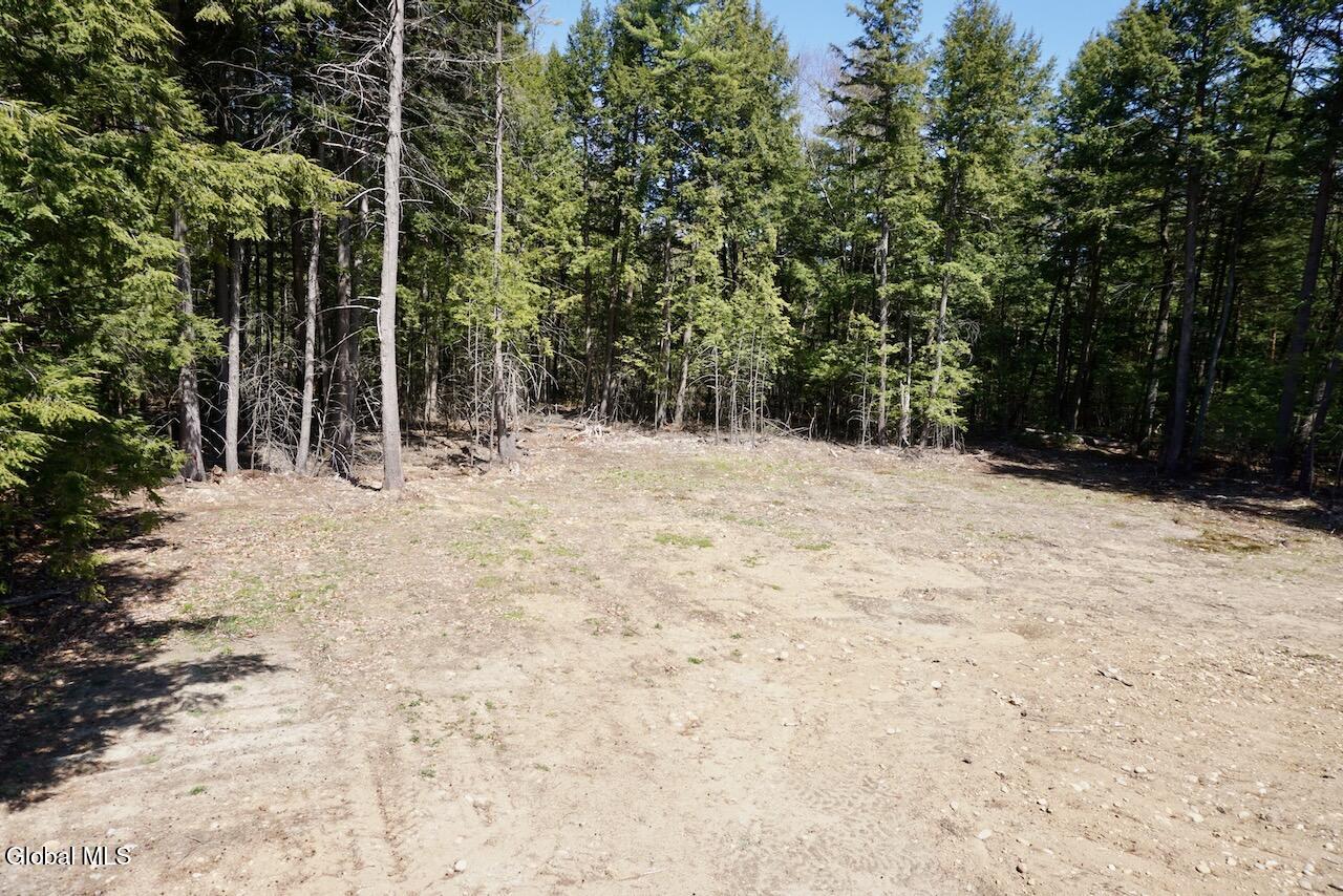 47 Locust Ridge Drive Corinth, NY 12822 - Photo 41 of 41 DSC05024