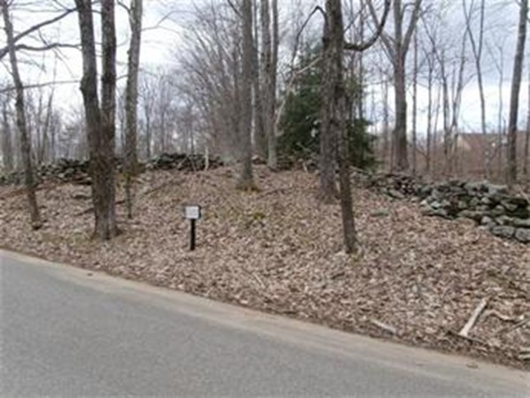 Lot 171 Rutherford Road Oakham, MA 01068 - Photo 8 of 9