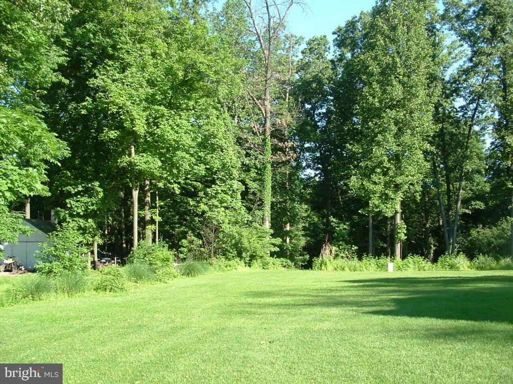 235 West Ridge Road Elizabethtown, PA 17022 - Photo 5 of 5 a big yard with lots of green space and trees