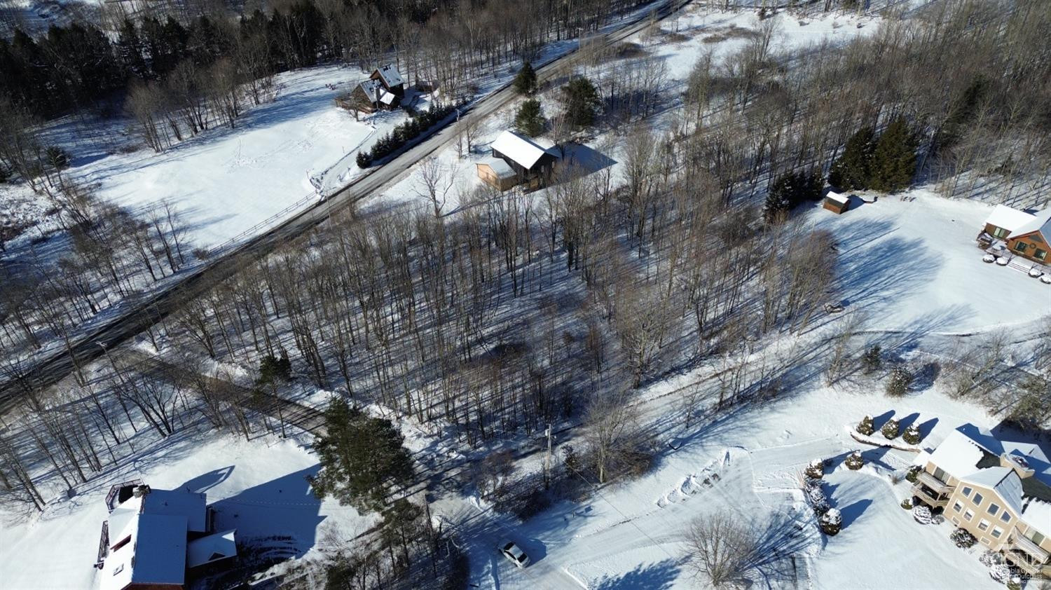 0 Mountain View Road Windham, NY 12496 - Photo 14 of 14 a view of a city with a forest