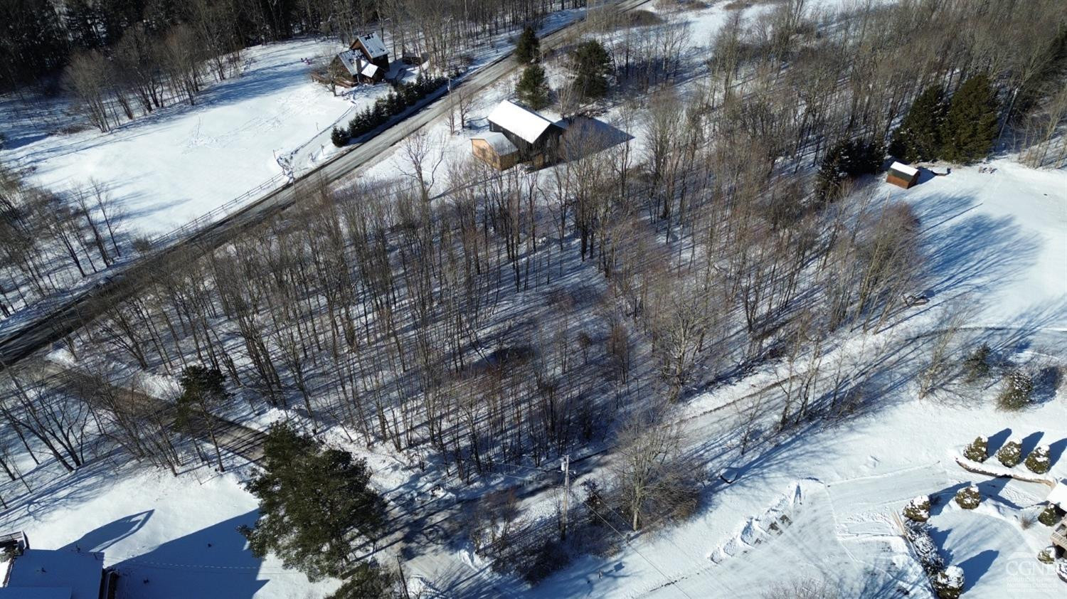 0 Mountain View Road Windham, NY 12496 - Photo 2 of 14
