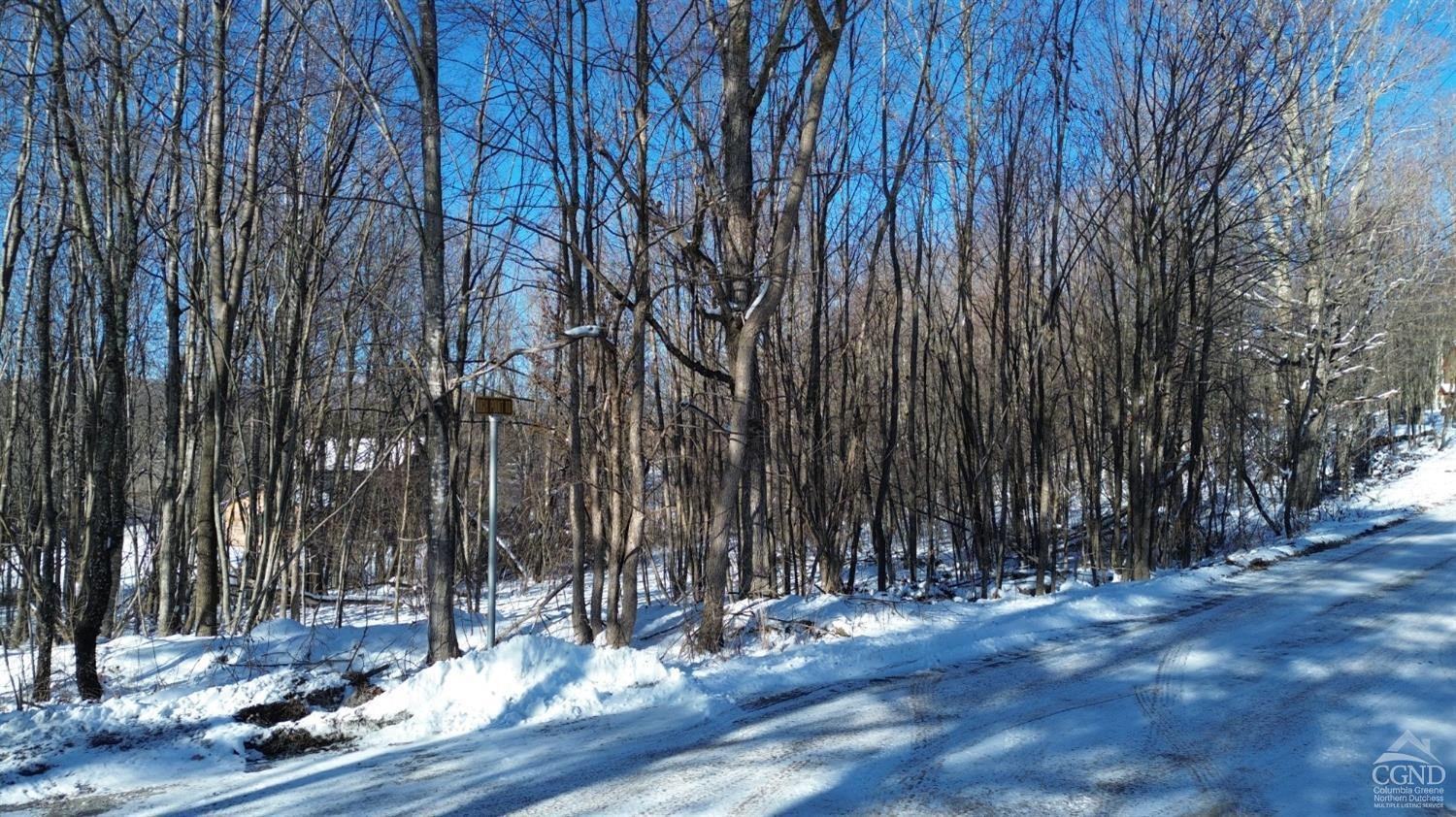 0 Mountain View Road Windham, NY 12496 - Photo 4 of 14 a view of a backyard