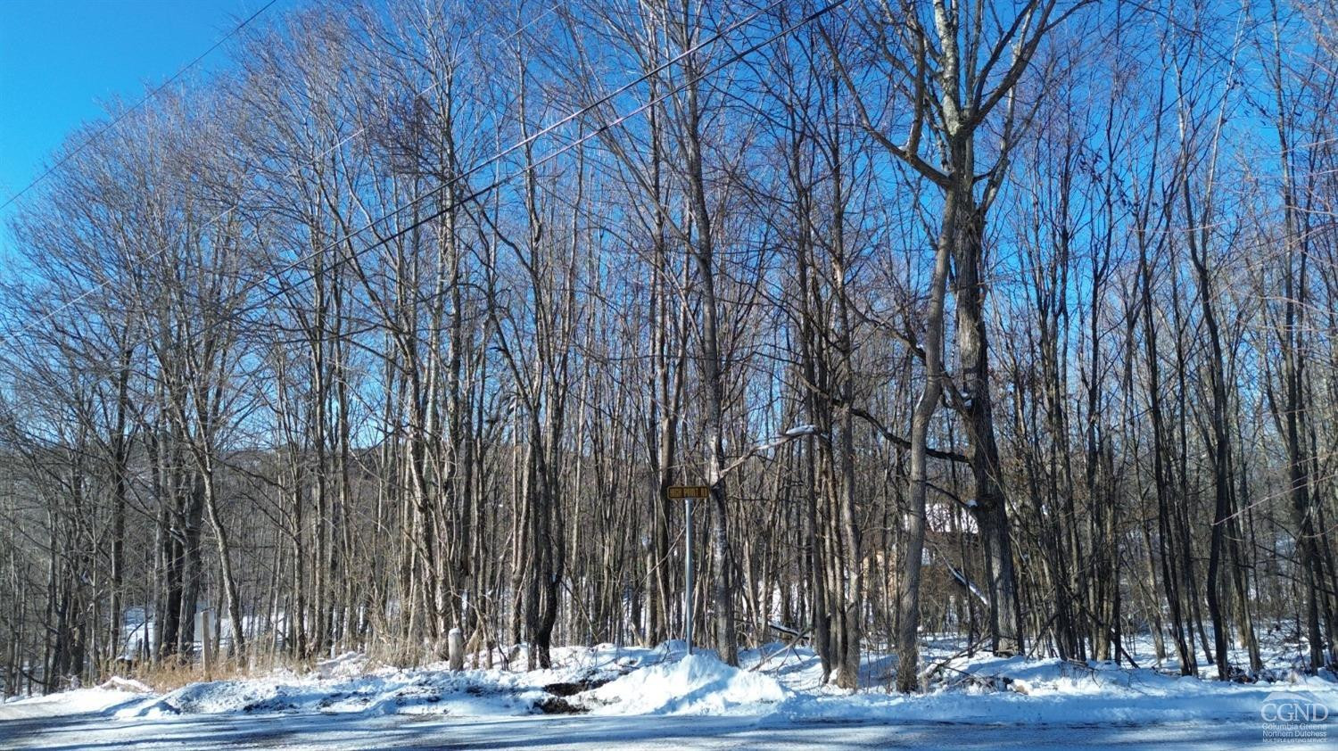 0 Mountain View Road Windham, NY 12496 - Photo 5 of 14 a view of a fireplace with a wooden fence