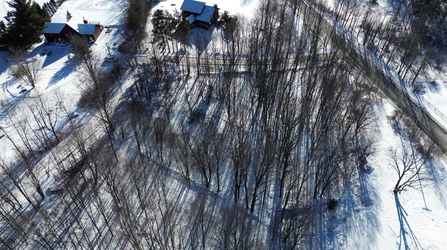 0 Mountain View Road Windham, NY 12496 - Photo 6 of 14