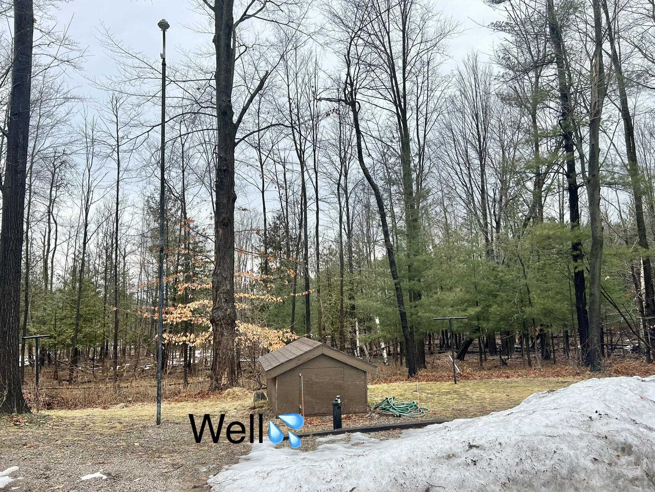 5233 Bunker Hill Road Williamsburg, MI 49690 - Photo 10 of 41