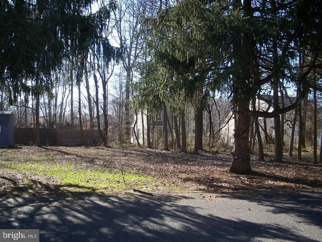 a view of a backyard with large trees