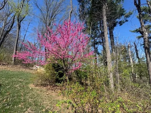 $939,900 | 124 Steeplechase Drive, Penn Laird, VA 22846