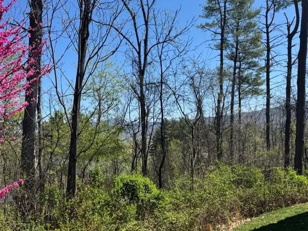 $939,900 | 124 Steeplechase Drive, Penn Laird, VA 22846