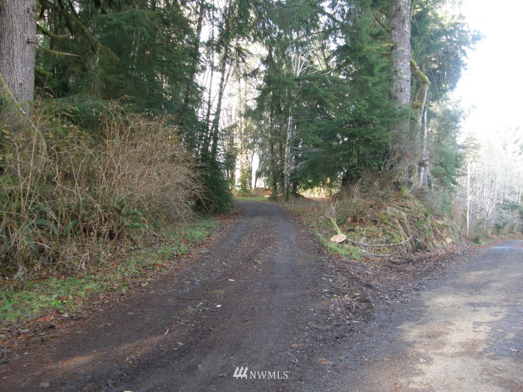 47 Tuffree Road Hoquiam, WA 98550 - Photo 2 of 8 Gallery Image 2