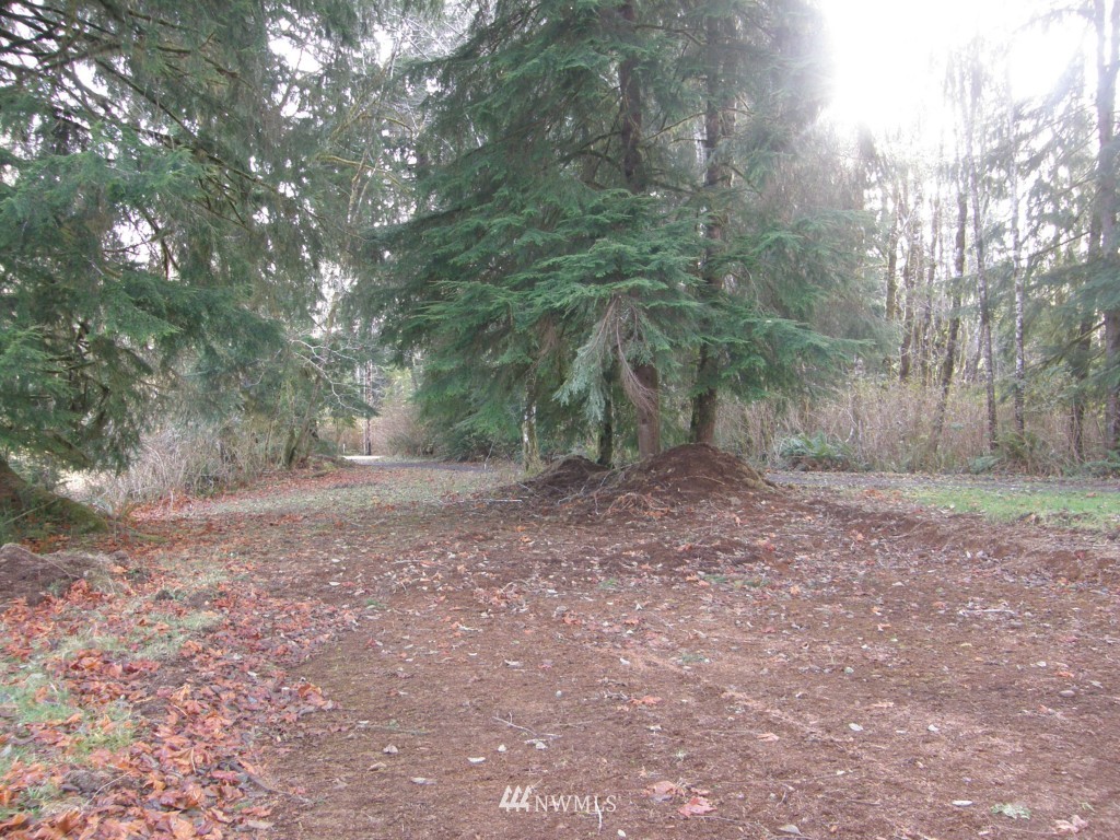 47 Tuffree Road Hoquiam, WA 98550 - Photo 3 of 8 Gallery Image 3