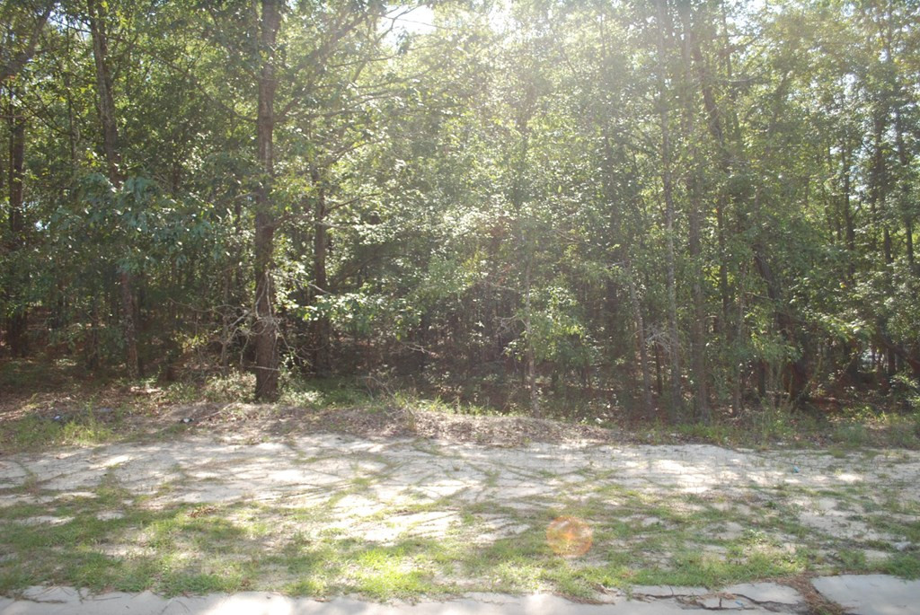 7440 Bennett Drive Rembert, SC 29128 - Photo 5 of 5