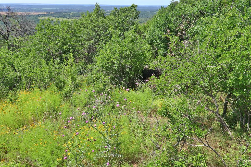B27 Post Oak Road Gordon, TX 76453 - Photo 13 of 15