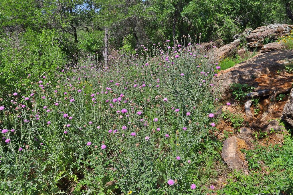 B27 Post Oak Road Gordon, TX 76453 - Photo 14 of 15