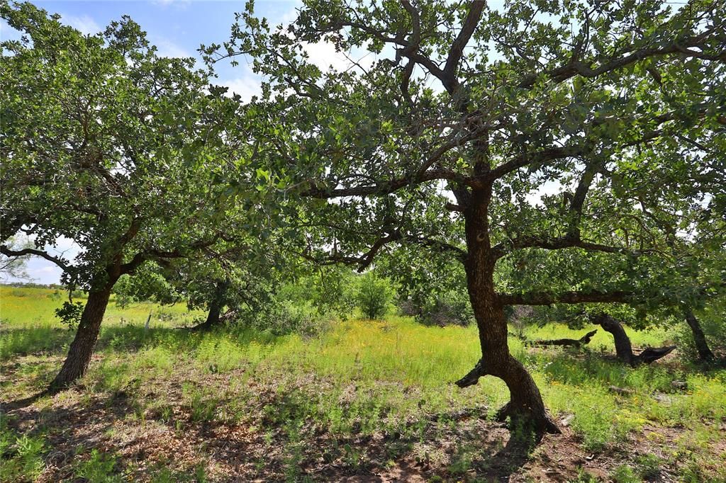 B27 Post Oak Road Gordon, TX 76453 - Photo 7 of 15