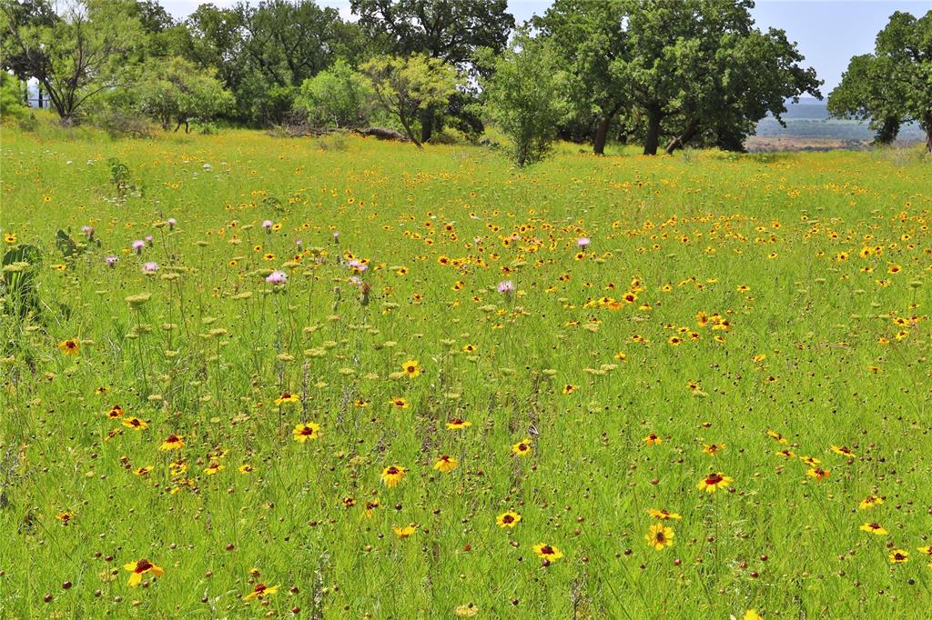 B27 Post Oak Road Gordon, TX 76453 - Photo 8 of 15