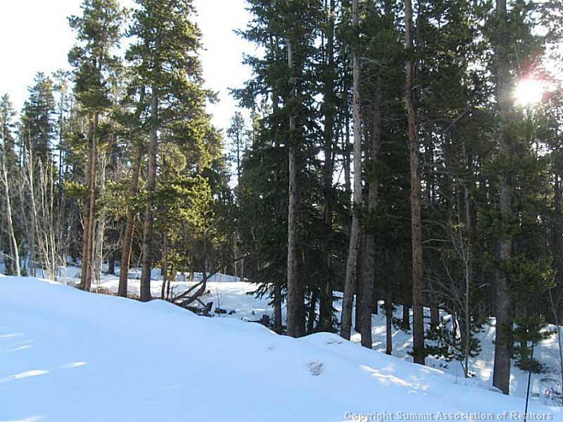1242 Venture Road Fairplay, CO 80440 - Photo 2 of 4 Gallery Image 2