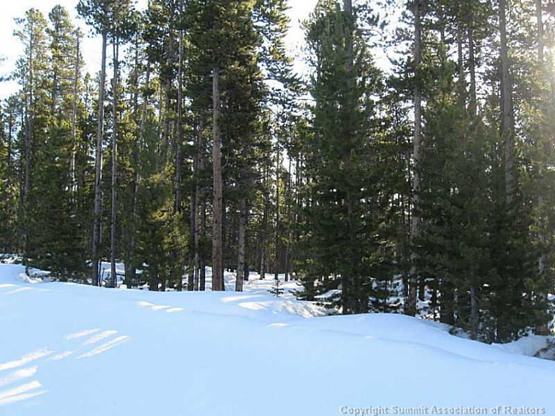 1242 Venture Road Fairplay, CO 80440 - Photo 3 of 4 Gallery Image 3