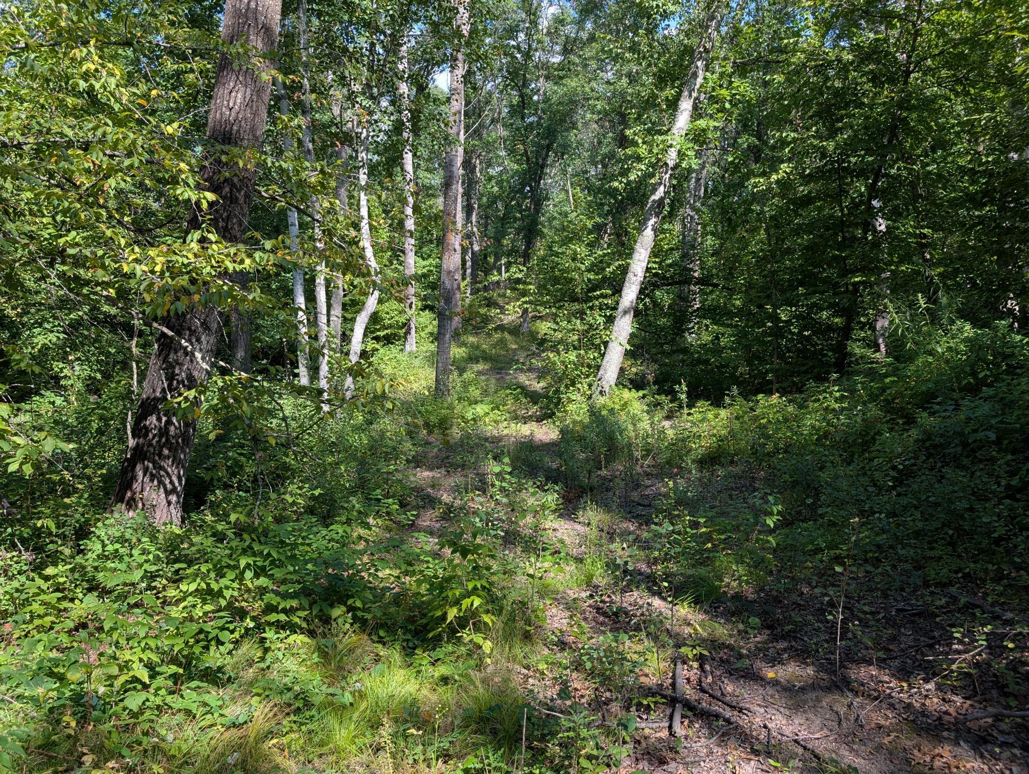 Lot 9-block Fawn Lake Road Crosslake, MN 56442 - Photo 7 of 11 Gallery Image 7