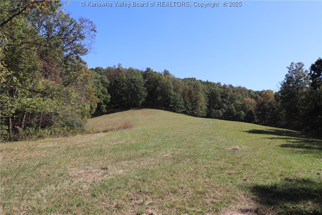 161 Cavender Drive Ripley, WV 25271 - Photo 45 of 50 Gallery Image 45
