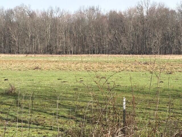 540 Flag Dale Road South Junction City, OH 43748 - Photo 42 of 48 750d94b3-4f67-4374-9fef-ad275d022c61