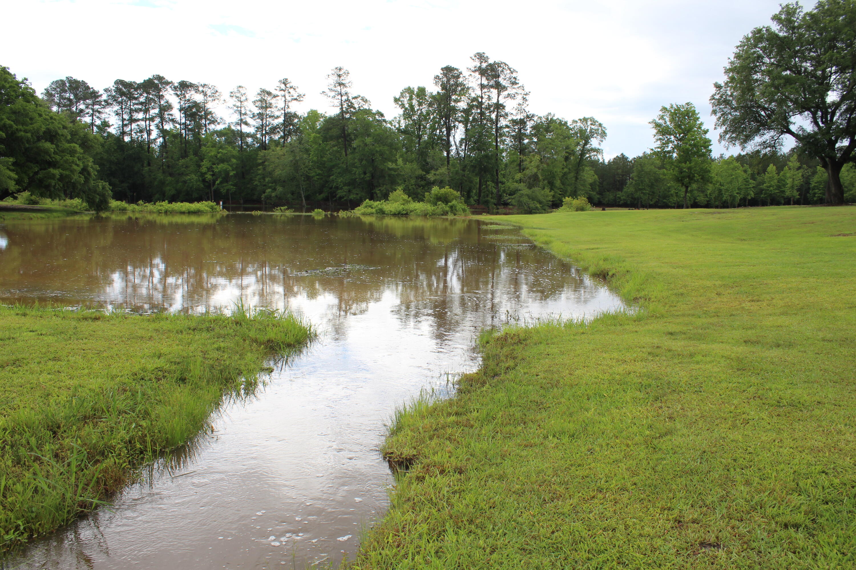 145 A Raymond Road Orangeburg, SC 29118 - Photo 46 of 52 IMG_6475