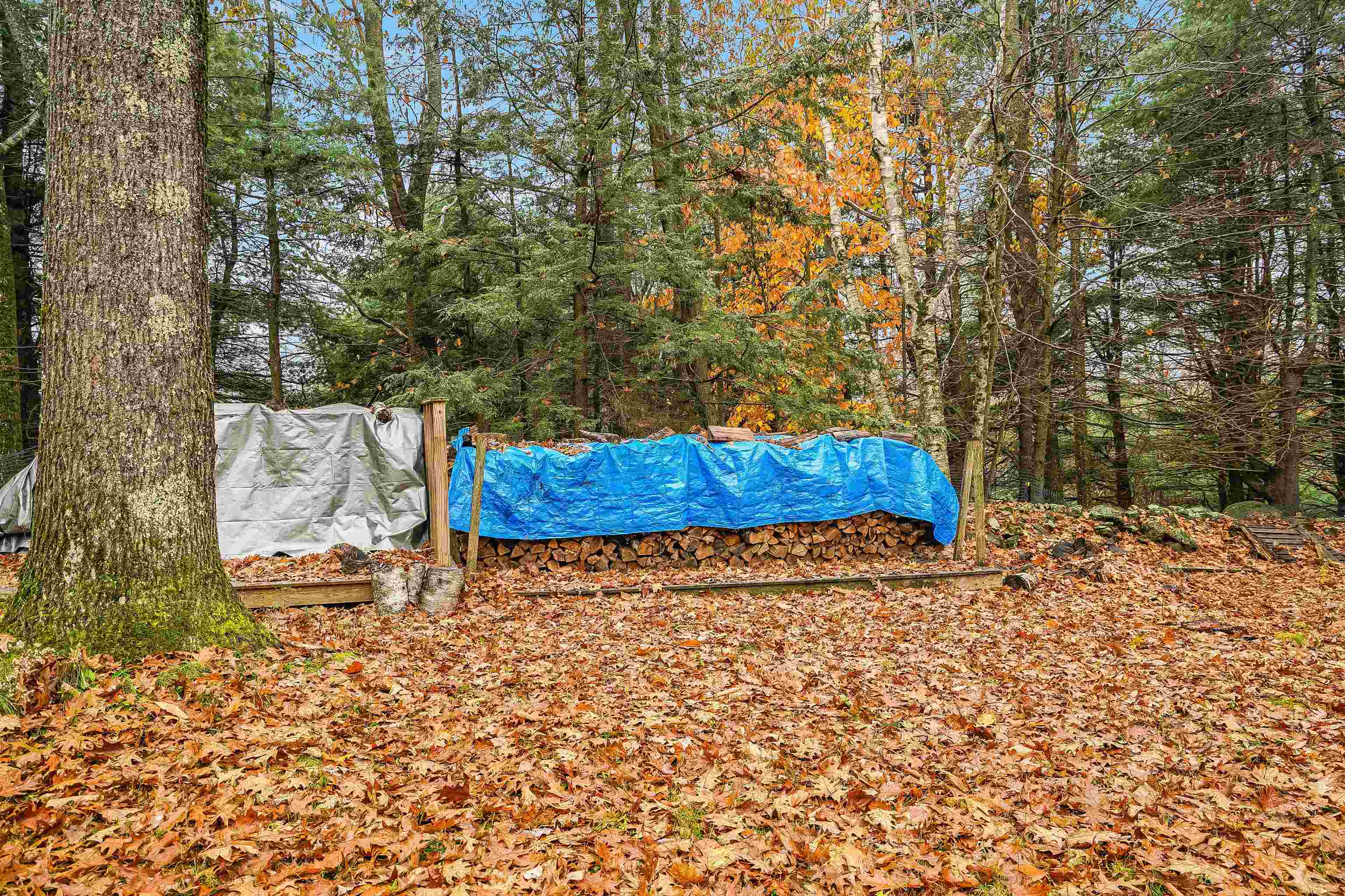 247 Reid Road Francestown, NH 03043 - Photo 20 of 40