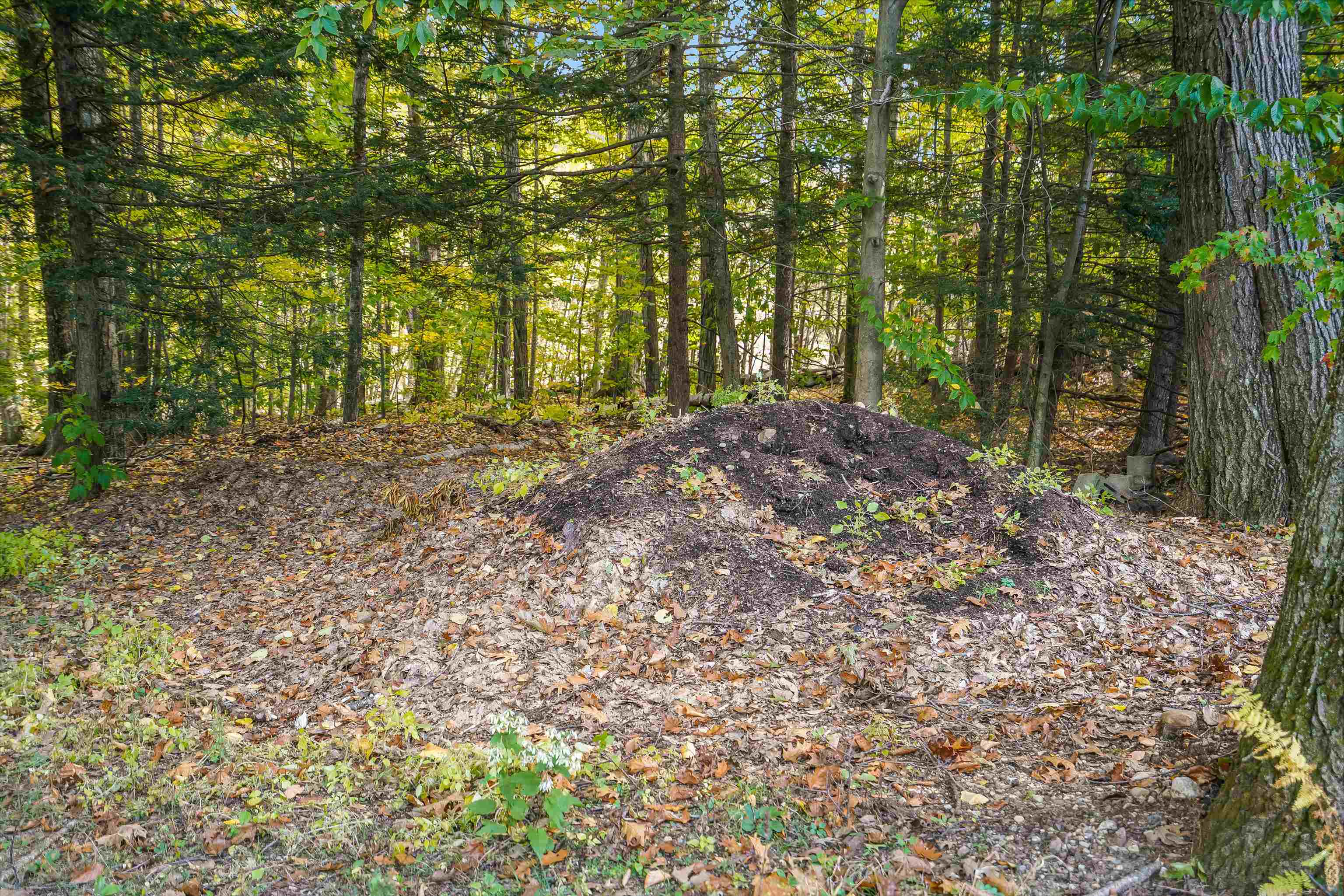 247 Reid Road Francestown, NH 03043 - Photo 5 of 40