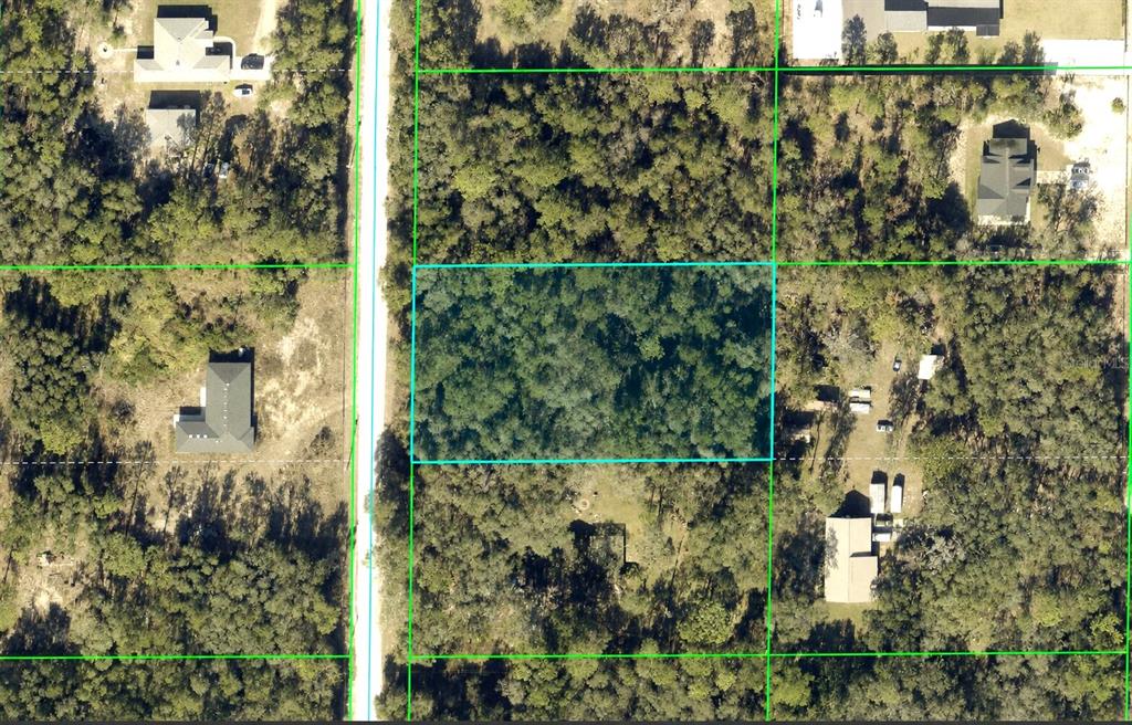 Alloy Street Webster, FL 33597 - Photo 1 of 7