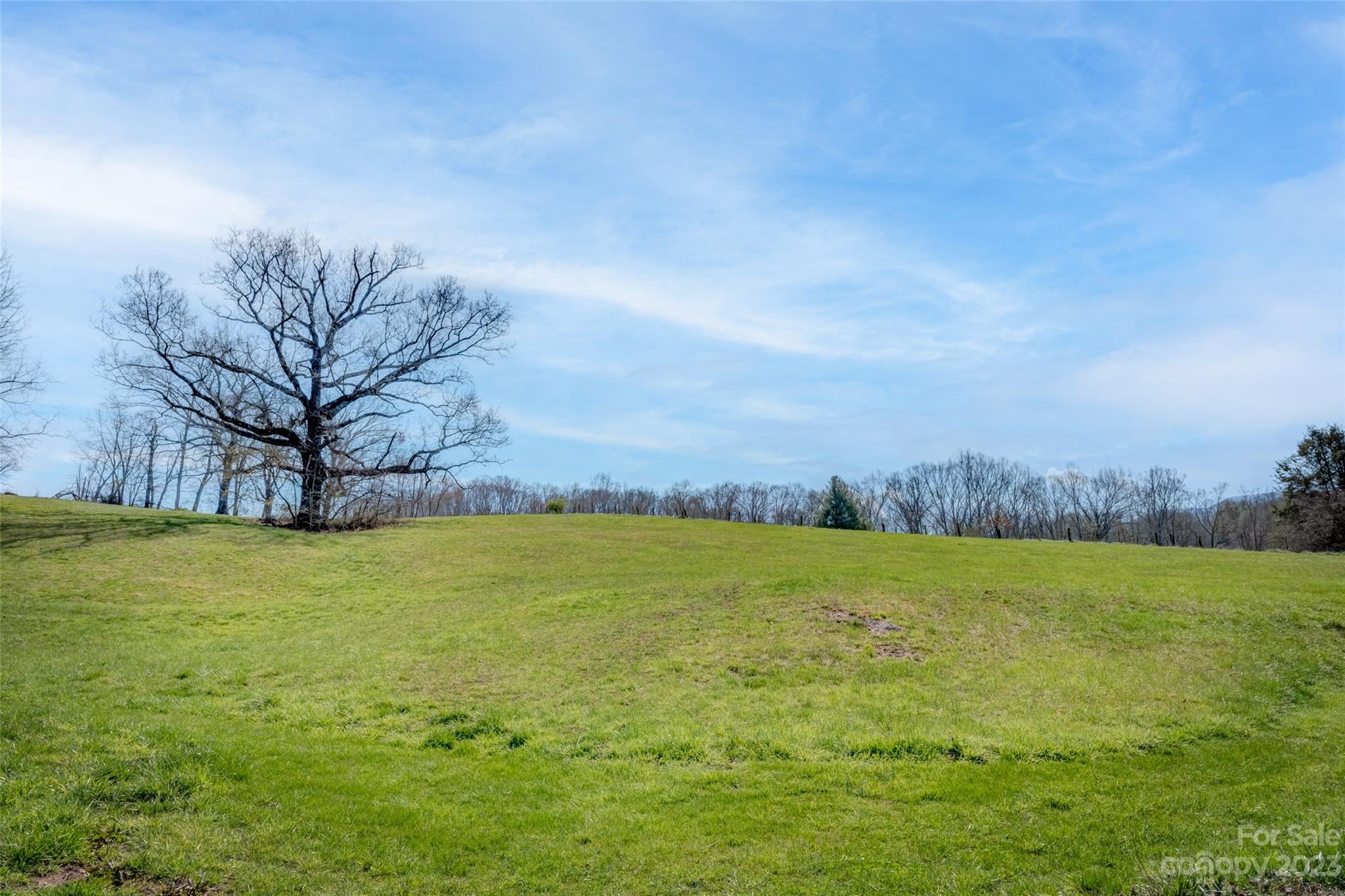 1345 Max Thompson Road Canton, NC 28716 - Photo 38 of 43 a view of an ocean