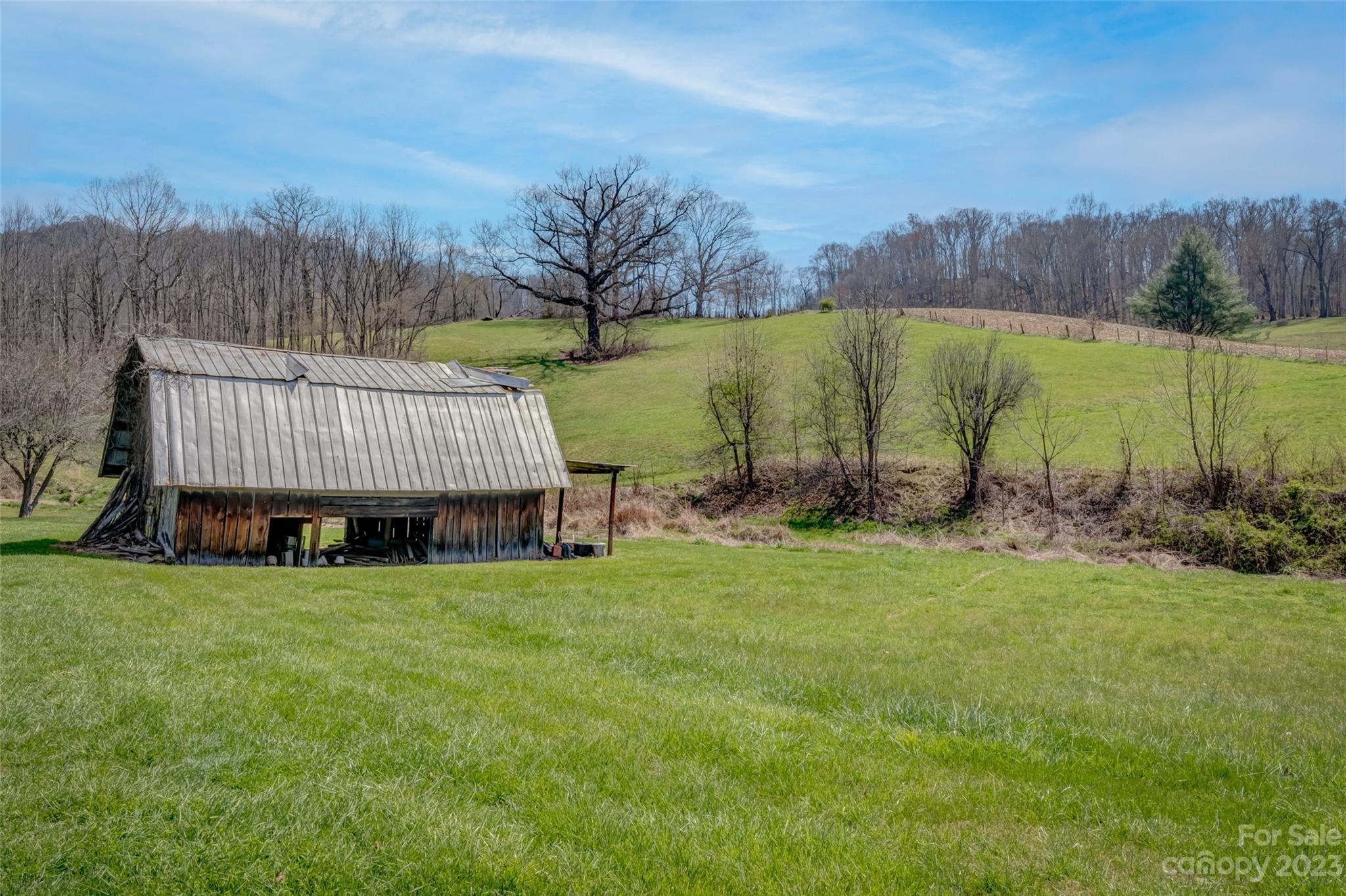 1345 Max Thompson Road Canton, NC 28716 - Photo 39 of 43 a view of a backyard with mountain and lake view