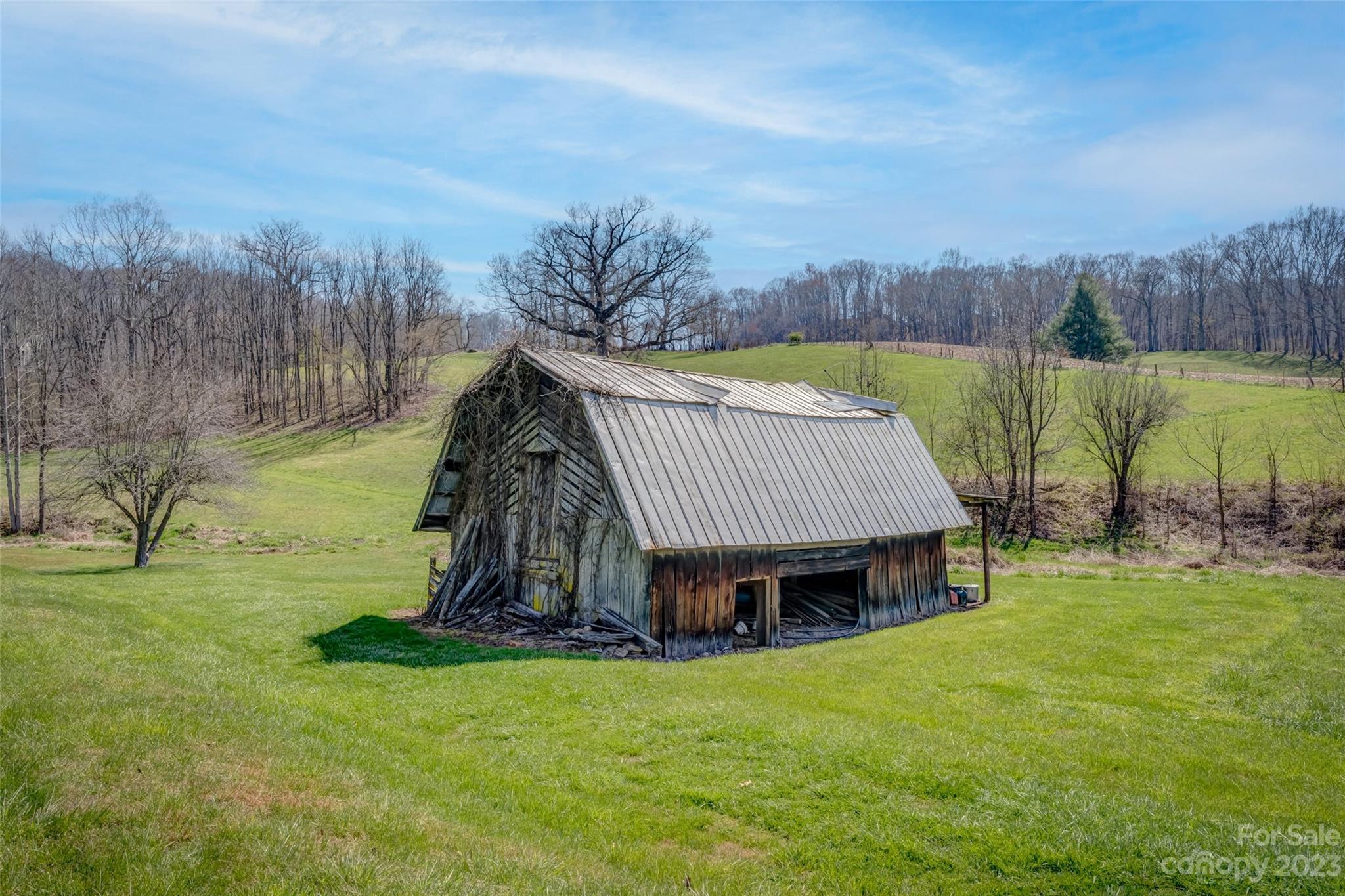 1345 Max Thompson Road Canton, NC 28716 - Photo 40 of 43 a view of a backyard