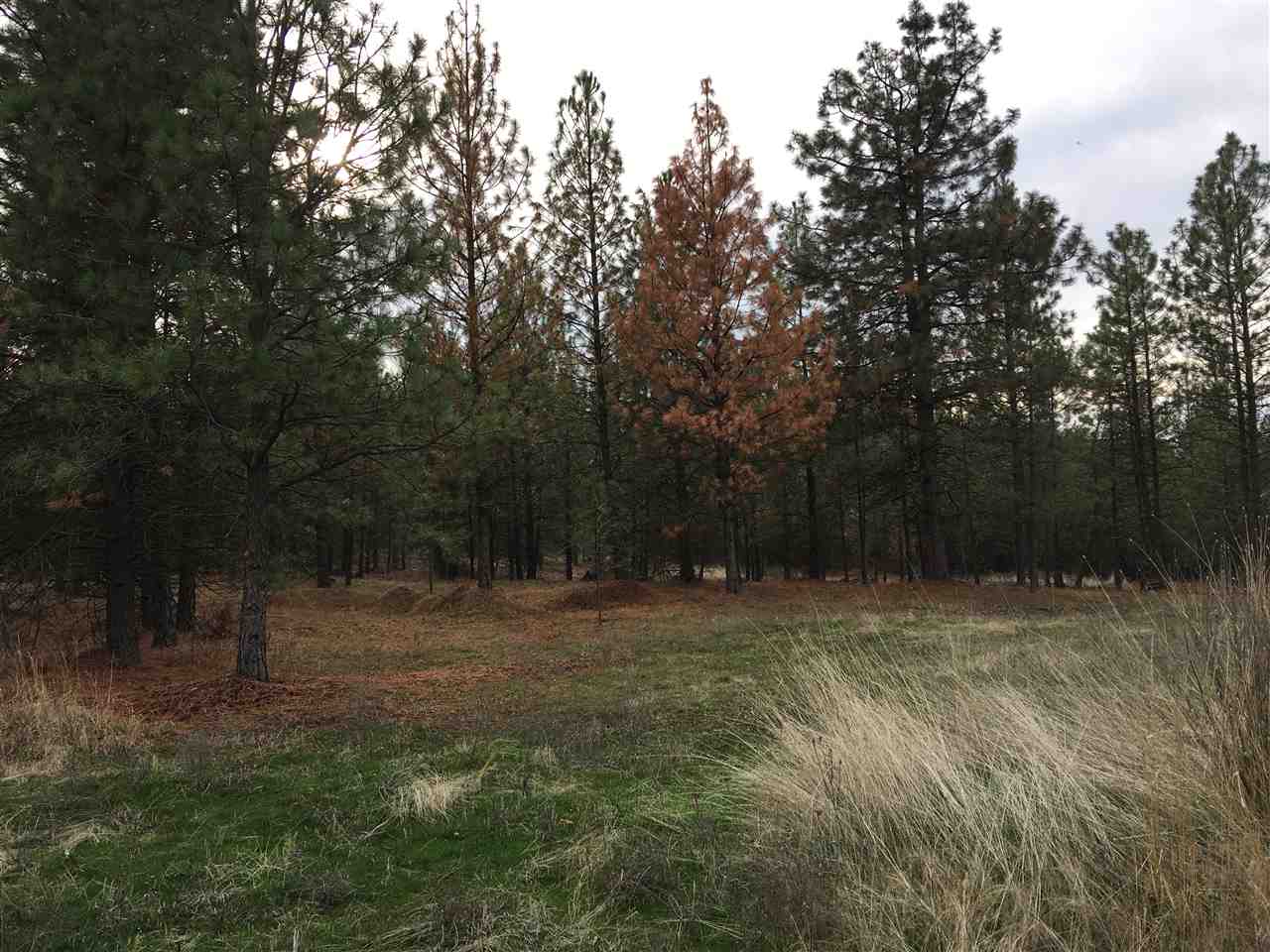 6270 Burke Road Fruitland, WA 99129 - Photo 20 of 20 Gallery Image 20