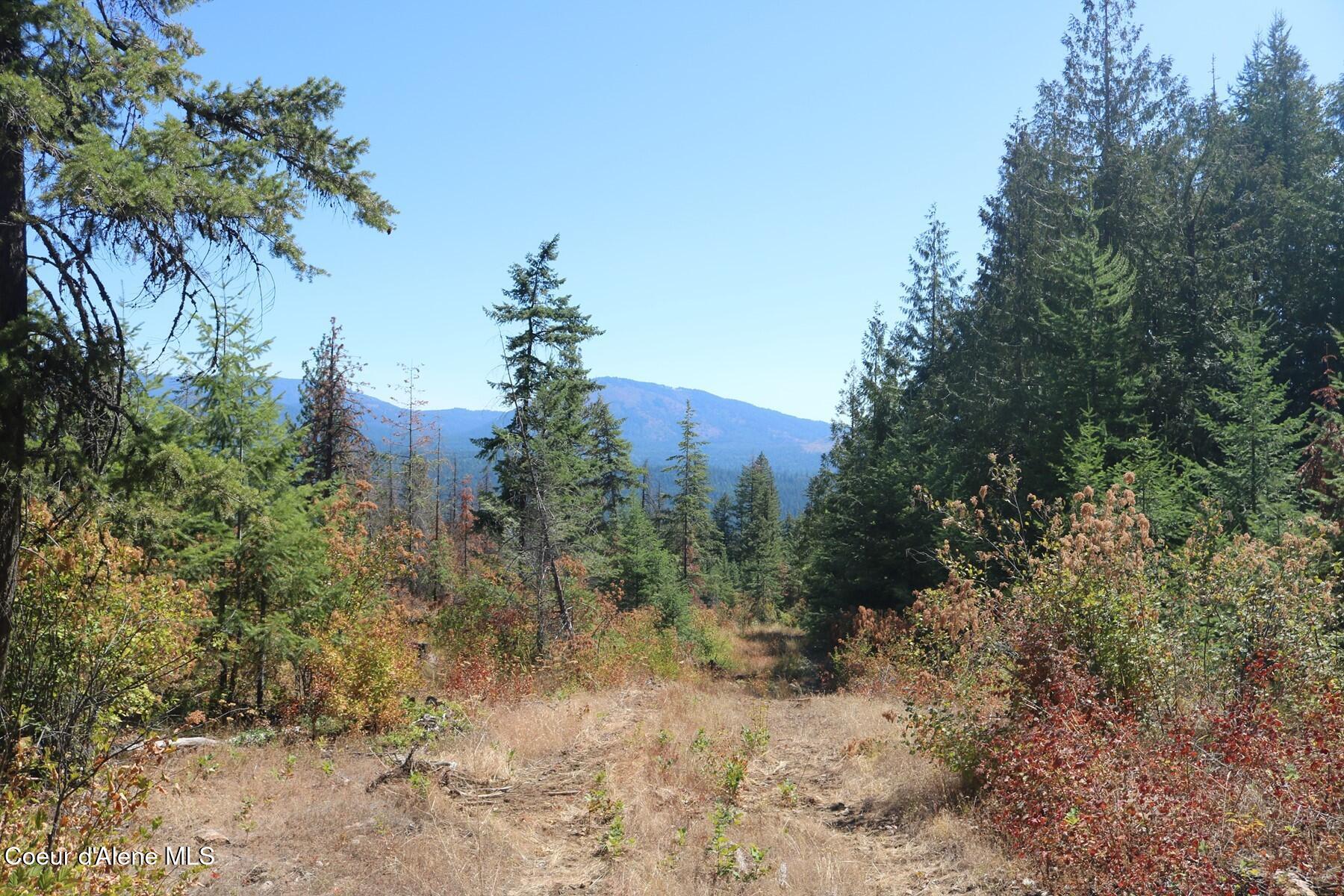700 Outlook Road Cocolalla, ID 83813 - Photo 25 of 32 IMG_6500