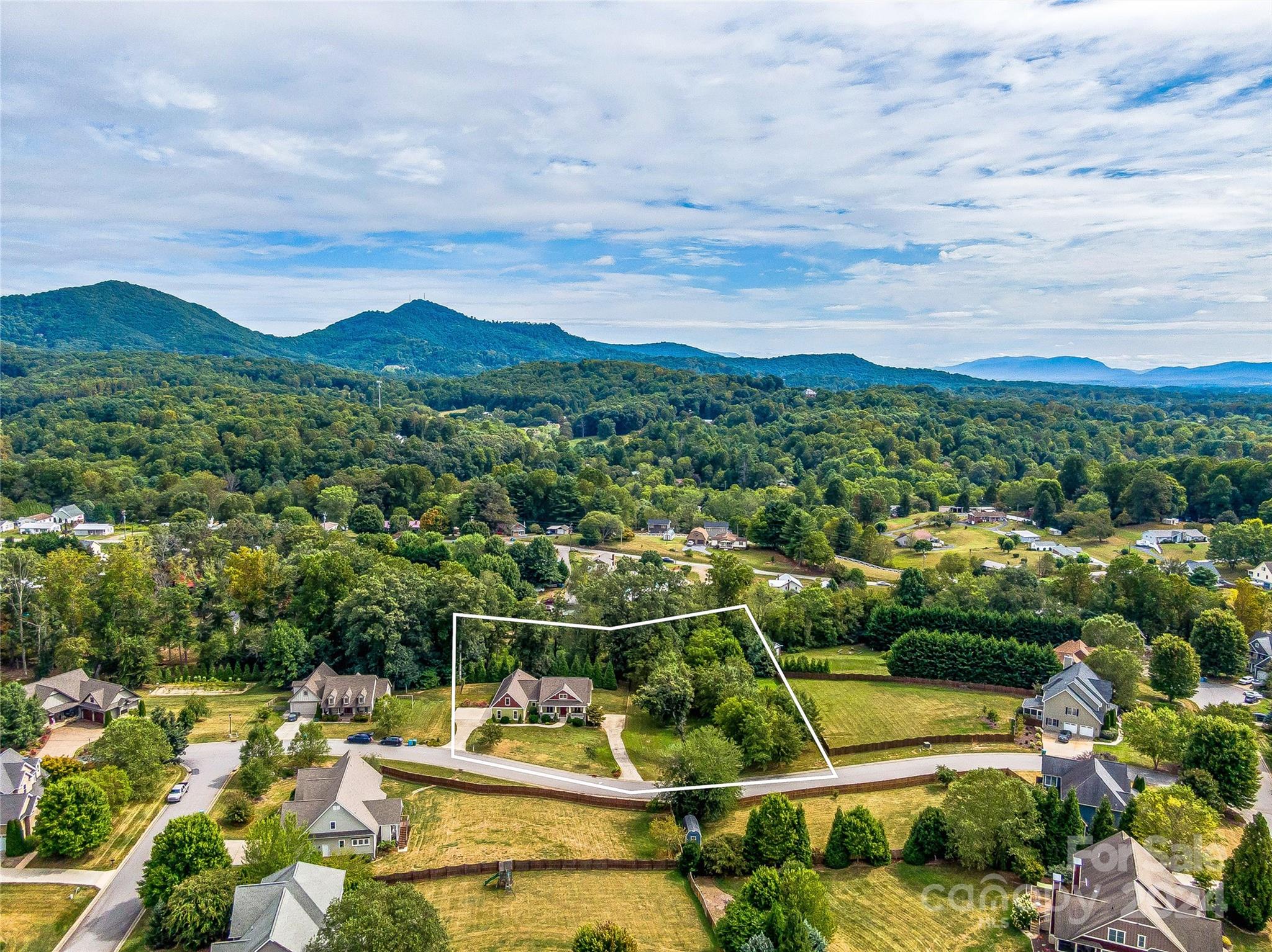 3 Cedar Bluff Court Candler, NC 28715 - Photo 2 of 48