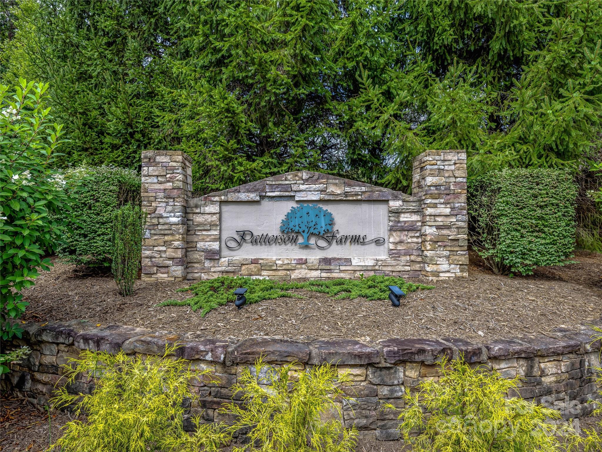 3 Cedar Bluff Court Candler, NC 28715 - Photo 48 of 48