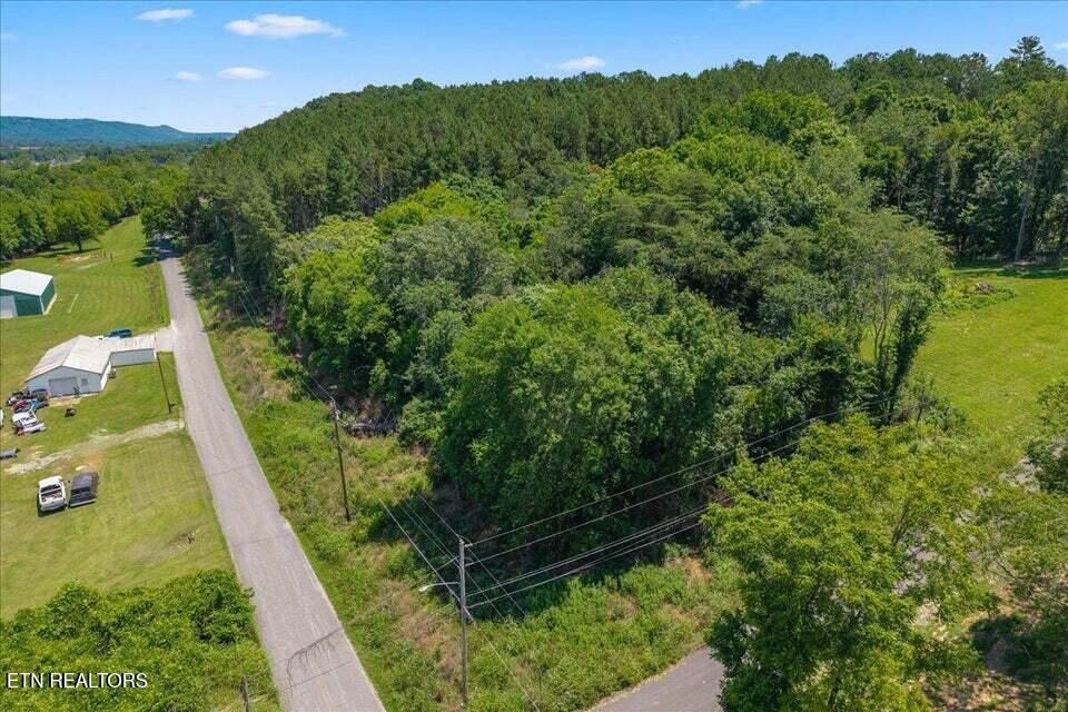 Lot 23-24 Hinch St Spring Spring City, TN 37381 - Photo 11 of 15 20260623164800427629000000-o