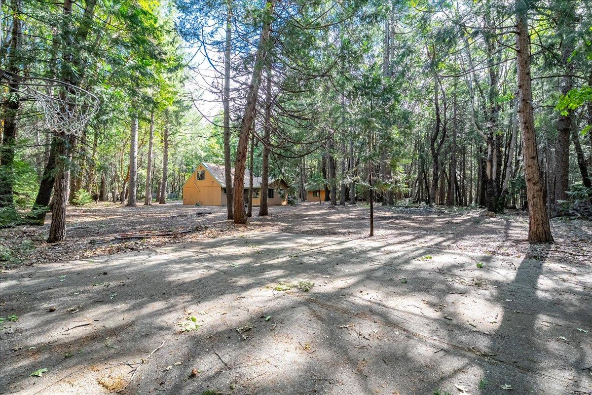 3000 Succor Lane Colfax, CA 95713 - Photo 38 of 56 a view of outdoor space with trees