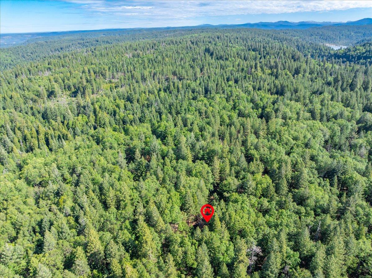 3000 Succor Lane Colfax, CA 95713 - Photo 46 of 56 a view of a lush green forest with a mountain
