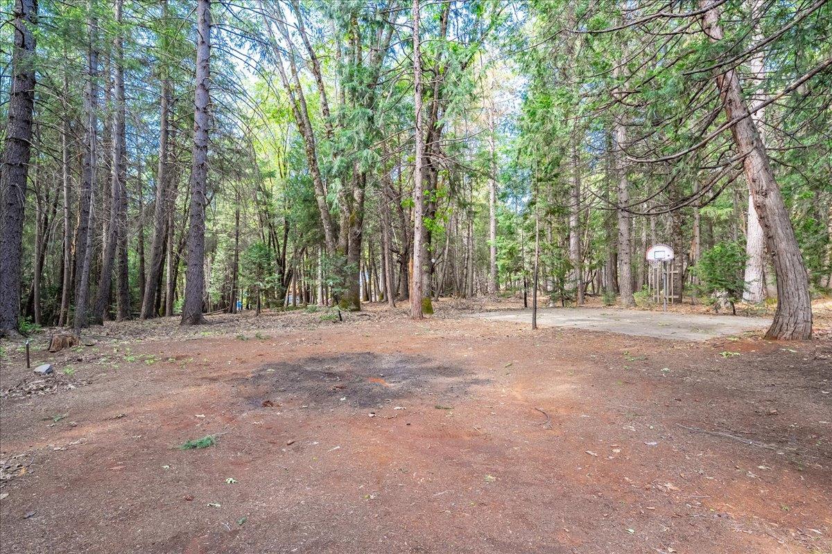 3000 Succor Lane Colfax, CA 95713 - Photo 6 of 56 a view of outdoor space with trees