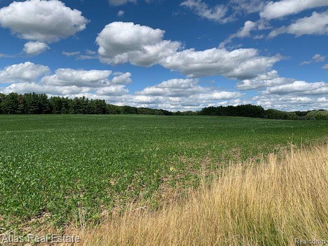 8143 East Baldwin Road Goodrich, MI 48438 - Photo 12 of 17 Gallery Image 12