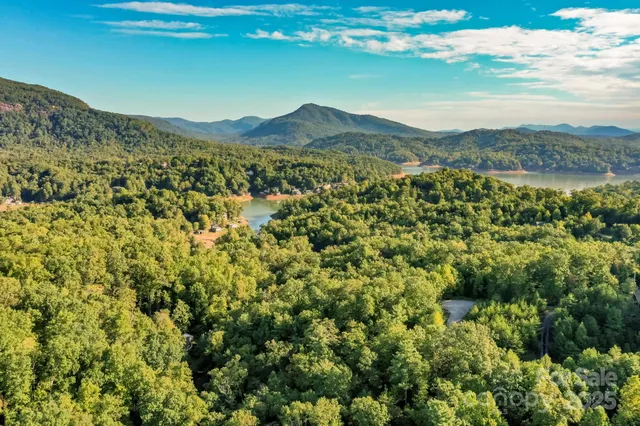 $1,150,000 | 218 Clear Creek Trail Lake, Lake Lure, NC 28746