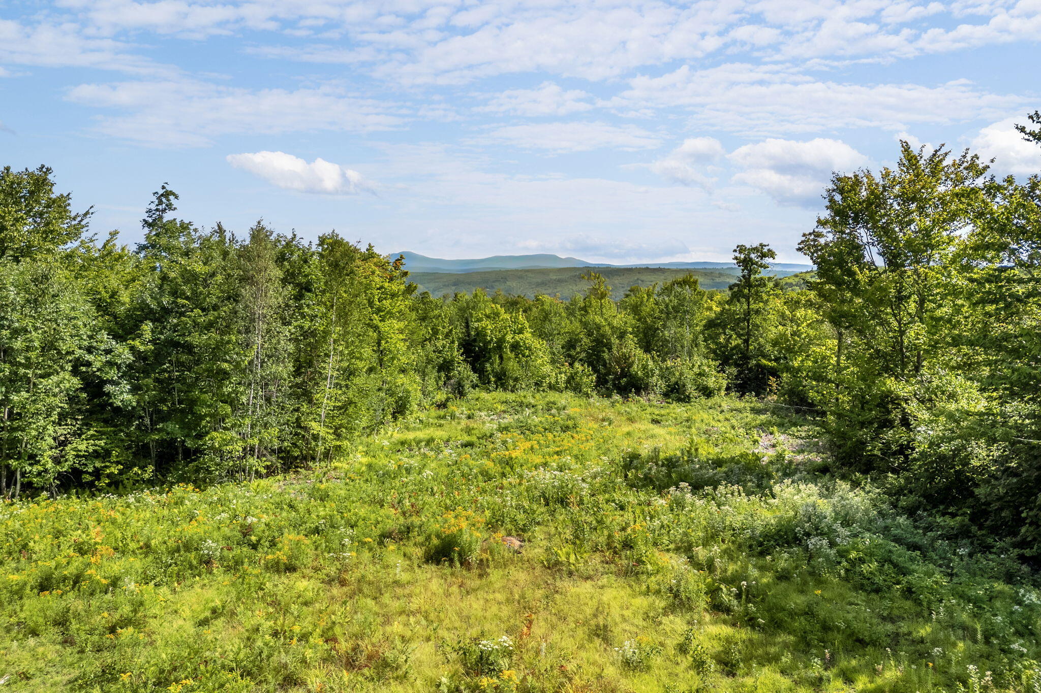 2-5 Mitchell Brook Road Wilton, ME 04294 - Photo 4 of 29 23-web-or-mls-mitchell-brook-rd